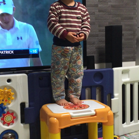 大統領選挙の練習？の画像