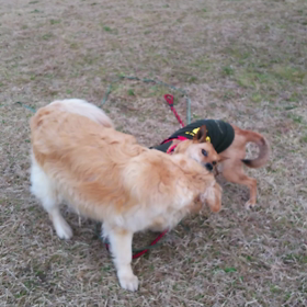 ワンプロの画像