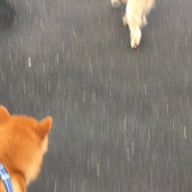 末っ子…頑張って！の画像