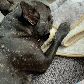 女も終わり？の画像