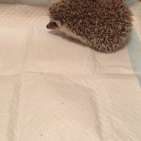 知ってた？笑の画像