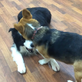 後半戦 動画の画像