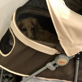 偶然の出会い♡の画像