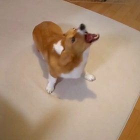 大根役者の画像