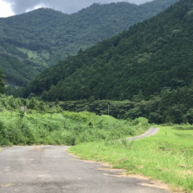 南紀カーブ！の画像