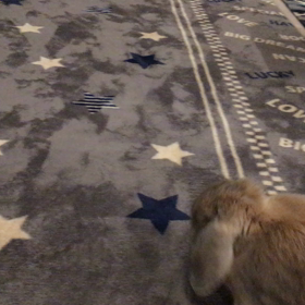 タイトル通りの画像