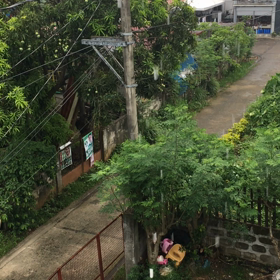雨だ in Philippinesの画像