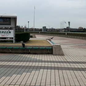 きょうの烏/動画の画像