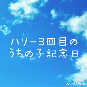 ハリー3回目のうちの子記念日の画像