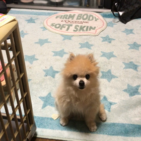 ワタシごと…の画像