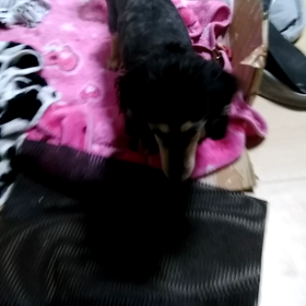 健康の大切さの画像