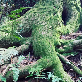 8/7生まれのあなたへの画像