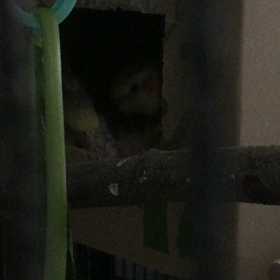 子育て奮闘記の画像