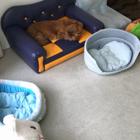 ♪プレイルーム動画♪②の画像