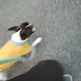 トレーニングって凄い！！の画像