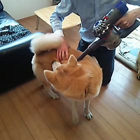 掃除してーの画像