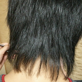 何  食べてるの？の画像