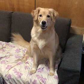 今朝の  我が家の画像