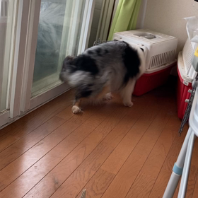 面白いやつの画像