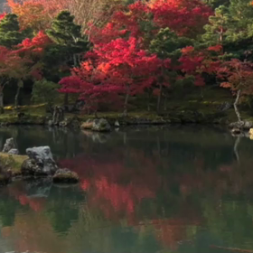 三識！！の画像