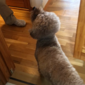 出かける前の画像