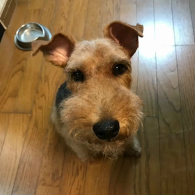 はまってますの画像