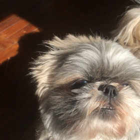 運命からはじまる恋　第5話の画像