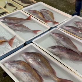 12月豊浜市場の様子！の画像