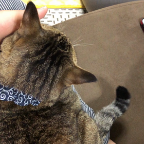 帰福〜♪の画像