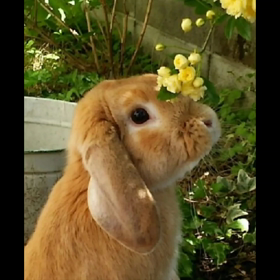 プレゼントについて。の画像