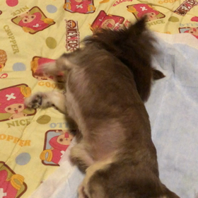 ベリおじさんリハビリ(´•.̫ • ⋈)の画像