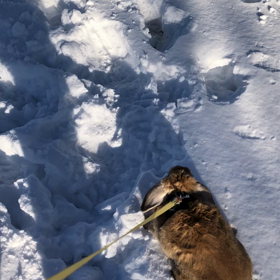 パーキングエリアにて。〜うさぎと旅行番外編〜の画像