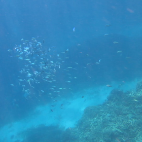 デバさんの集合体の画像