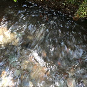 【第二弾】心がゆるみ、軽くなるネガティブ浄化動画の画像