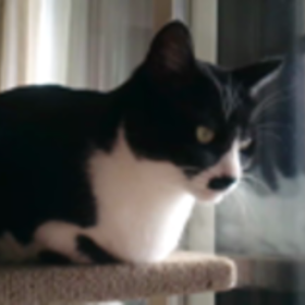 ☆動画投稿☆の画像