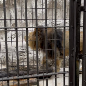 歯学部附属病院に行ってきましたの画像