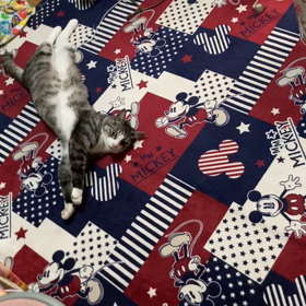 遺品整理の画像