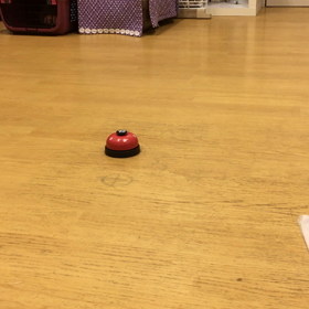 ポコ編。の画像