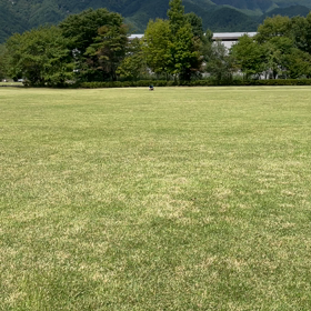 12歳の全力疾走の画像