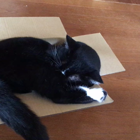 寝てたの‥。の画像