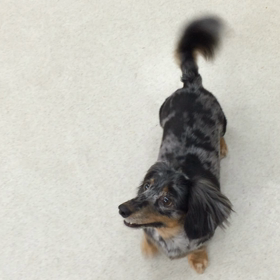 ♪プレイルーム動画♪の画像