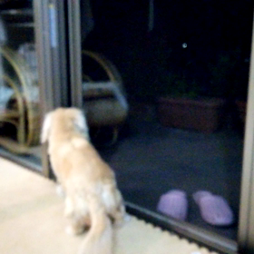 おててで窓を。。の画像