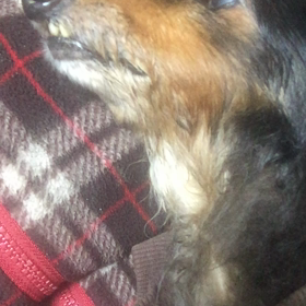 どうしたら楽になれるの…>_<…の画像