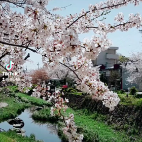 4月の過ごし方　イメージする力の画像