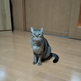 冷たい雨  ではありませんでしたの画像