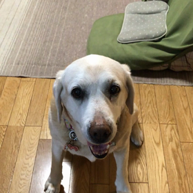 お手手届いてないでしの画像