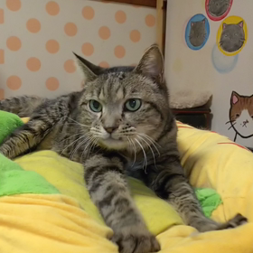 まぁーじいちゃんのフミフミの画像