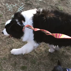 ♪60分遠足♪代々木公園♪②の画像