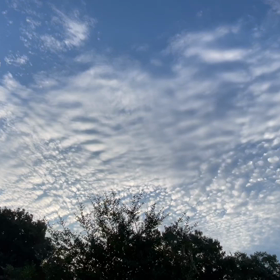 切ない　　【わたしの独り言】の画像