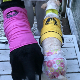 鬼トレーナーの特訓の画像